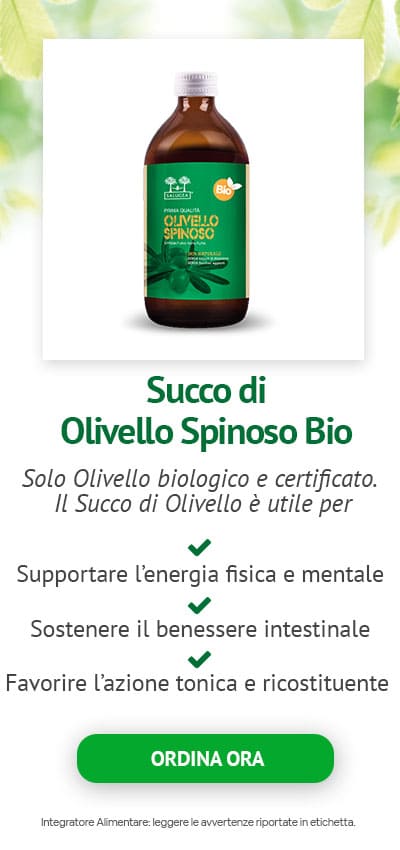 succo puro di olivello spinoso bio