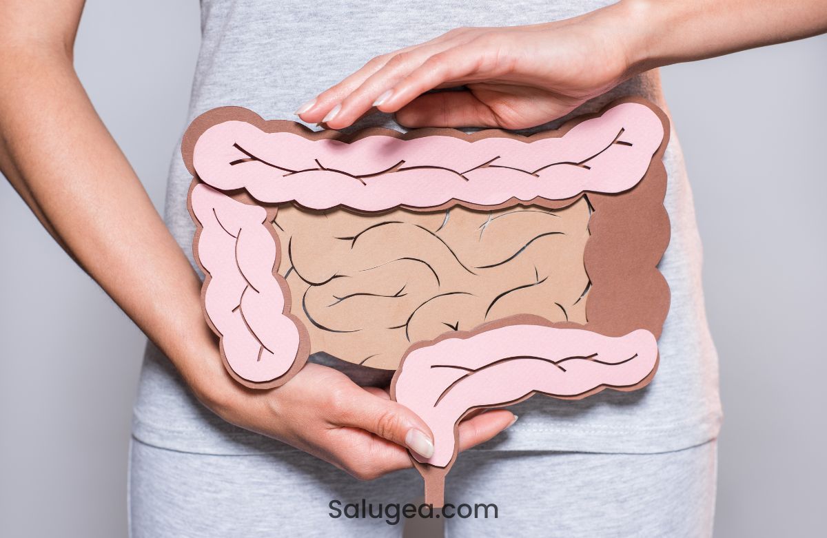 Microbiota e statine